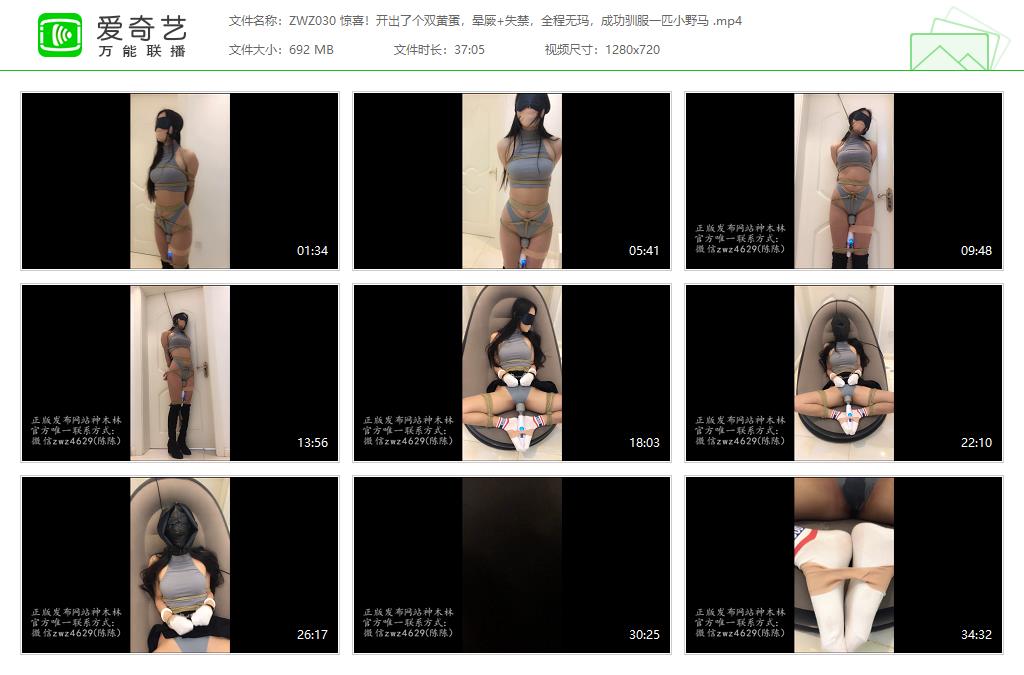 ZWZ030 惊喜！开出了个双黄蛋，晕厥 失禁，全程无玛，成功驯服一匹小野马 [20230305-.jpg