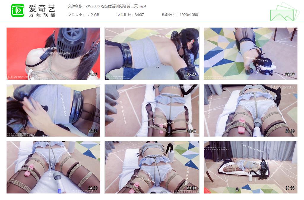 ZWZ035 吃饭睡觉训狗狗 第二天[20230305-124945855].jpg