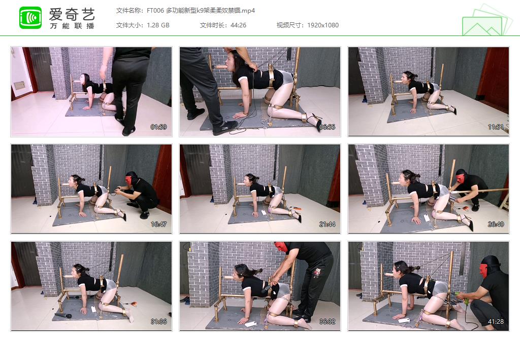 FT006 多功能新型k9架柔柔奴禁锢[20230412-144621779].jpg