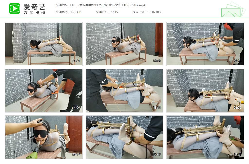 FT013 犬奴柔柔盼望已久的k9驷马架终于可以尝试啦[20230412-14491187].jpg