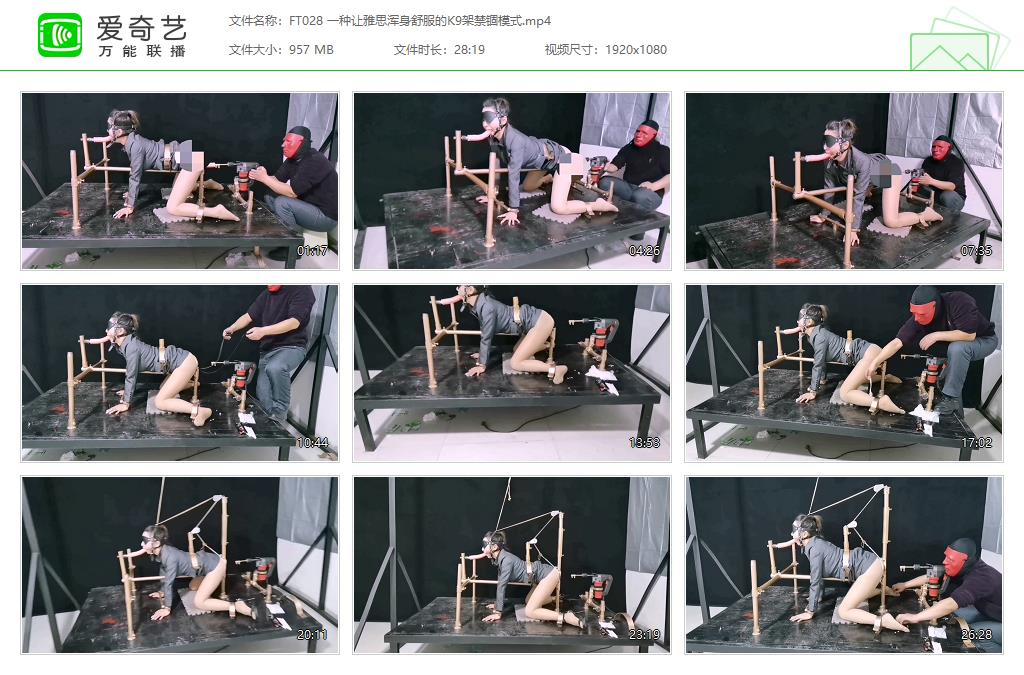 FT028 一种让雅思浑身舒服的K9架禁锢模式[20230412-145617112].jpg
