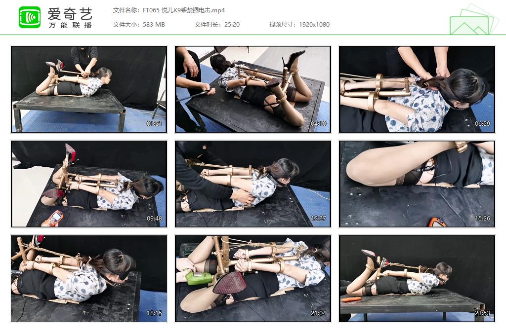 FT065 悦儿K9架禁锢电击[20230413-134730687].jpg
