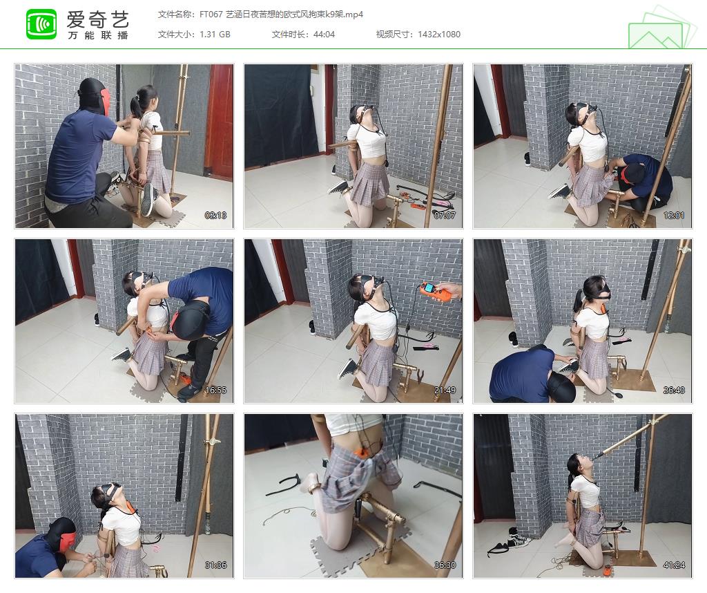 FT067 艺涵日夜苦想的欧式风拘束k9架[20230413-134753955].jpg