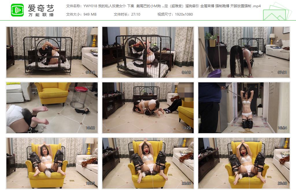 YWY018 我的私人奴隶女仆 下集  戴尾巴的小M狗 铁笼固定（超难受）溜狗牵引 金属束缚 .jpg