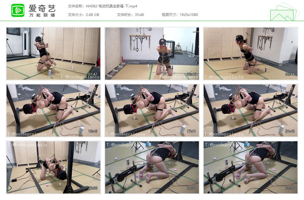 HH082 电动玩具全家福-下[20230813-120318337].jpg