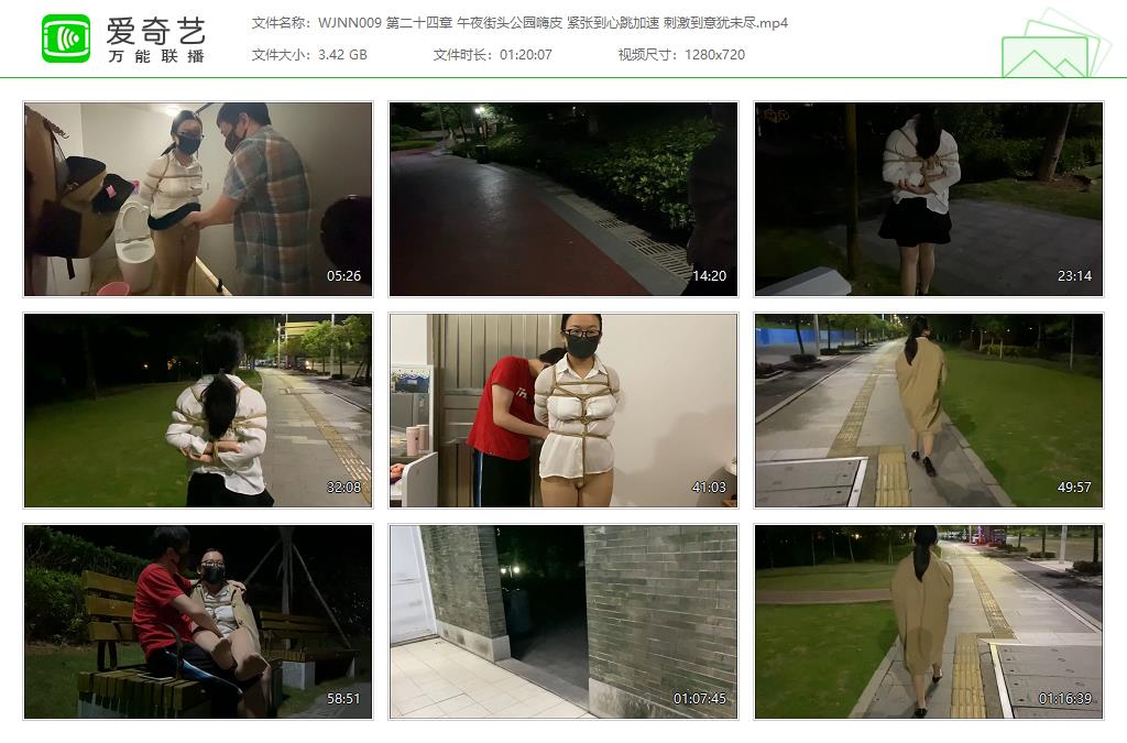 WJNN009 第二十四章 午夜街头公园嗨皮 紧张到心跳加速 刺激到意犹未尽[20230918-161331920].jpg