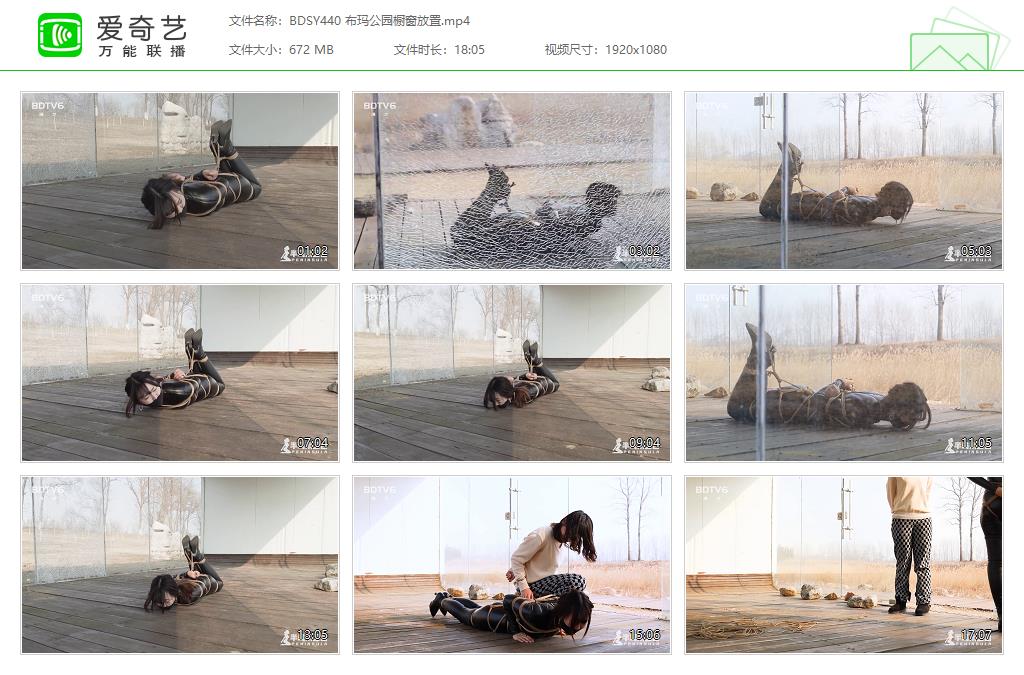 BDSY440 布玛公园橱窗放置[20231105-135257915].jpg