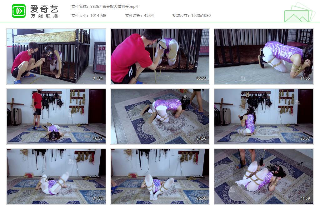 YS267 圈养奴犬缚驯养[20231108-161909584].jpg