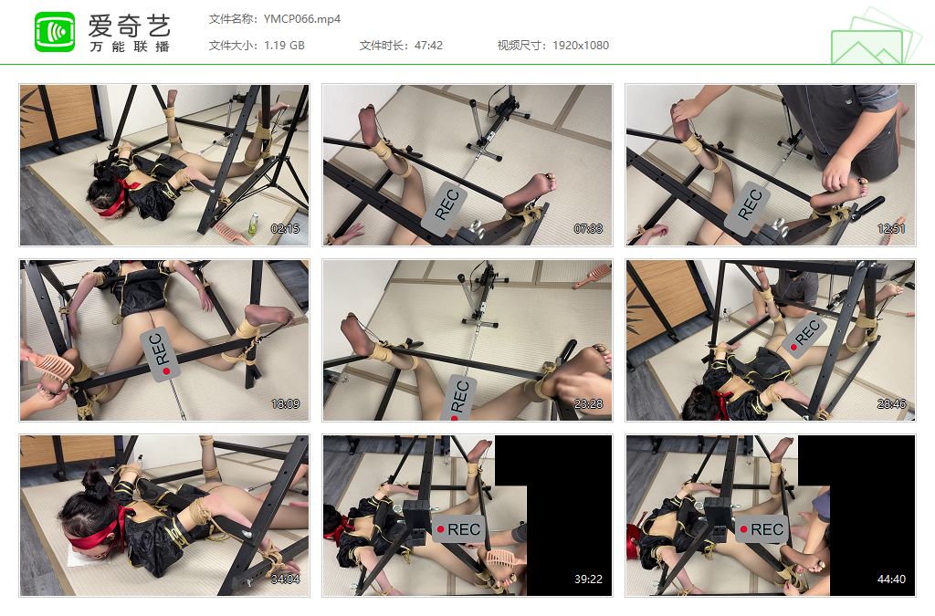 YMCP066[20260526-160443881].jpg