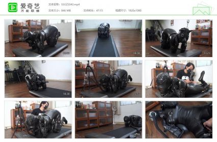 闪闪工作室_健身小狗承受电击呼控折磨在跑步机上反复爬行