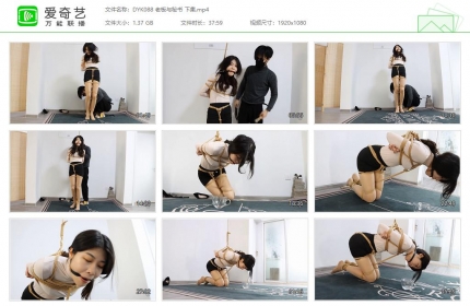 得意客088_老板与秘书 下集