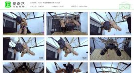 樱束原创287_完全禁锢第三季09