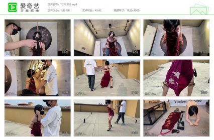 雨辰工作室_艾达王之折戟实验室 下