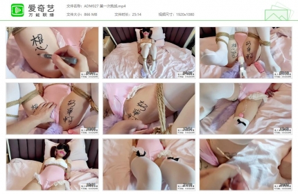嗷大喵工作室027_第一次挑战