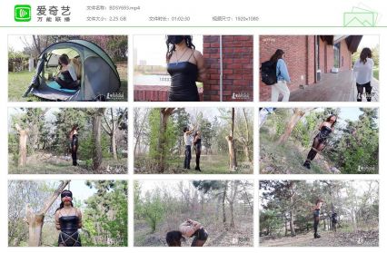 半岛束艺台_小树林里的秘密