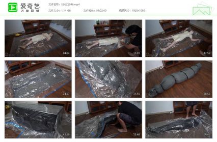 闪闪工作室_中秋的旗袍小姐姐进行万物皆可真空压...