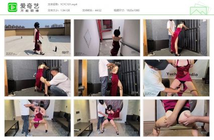 雨辰工作室_艾达王之折戟实验室 上