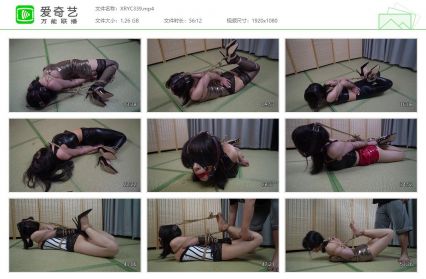 象人工作室_小0-直臂并肘驷马 马具口球