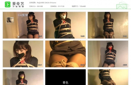 隶娘写真馆DAGA-014