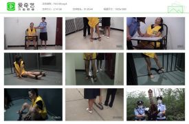 雅俗阁169_调落的麻抢之花 雅思