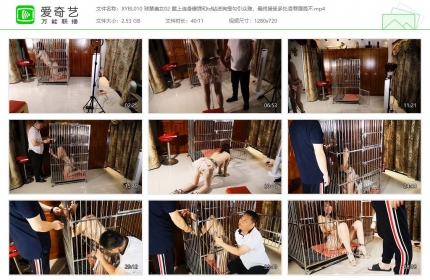 逍遥伯乐010_球禁美女02 戴上连身镣铐和td钻进狗笼勾引众男