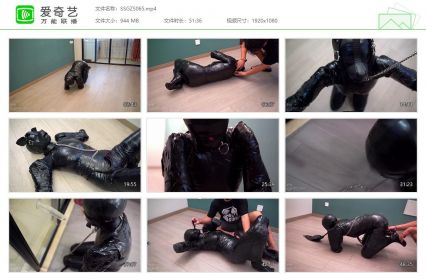 闪闪工作室_绝缘胶带木乃伊人形犬 - 在宽阔的新场...